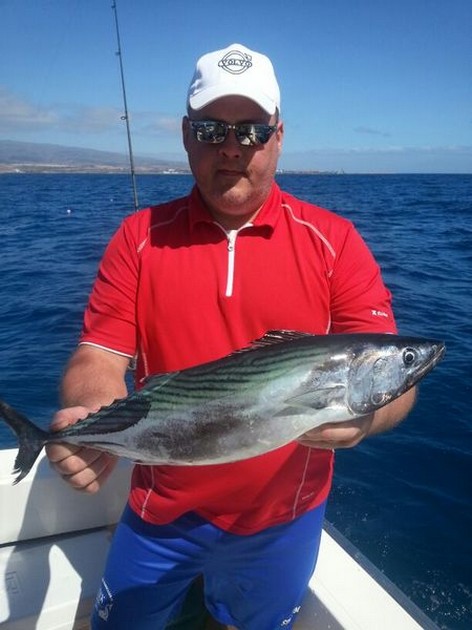 Sierra Tonijntjes Cavalier & Blue Marlin Sport Fishing Gran Canaria