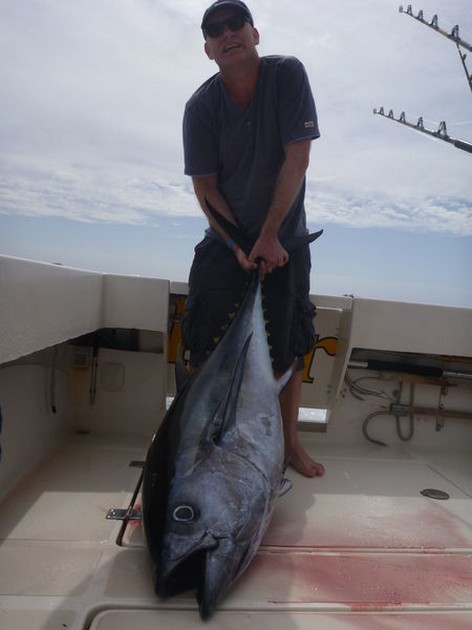 Big Eye Tuna - Bigeye Tuna caught by Frank van der Griendt on the Cavalier Cavalier & Blue Marlin Sport Fishing Gran Canaria