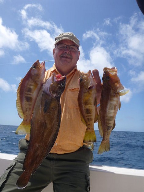 Stormiga vindar Cavalier & Blue Marlin Sport Fishing Gran Canaria