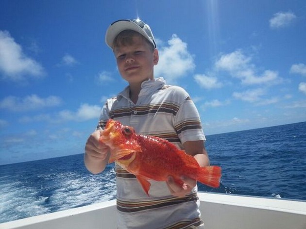Scorpion fish Cavalier & Blue Marlin Sport Fishing Gran Canaria