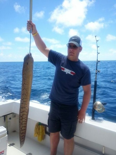 Moray eel Cavalier & Blue Marlin Sport Fishing Gran Canaria