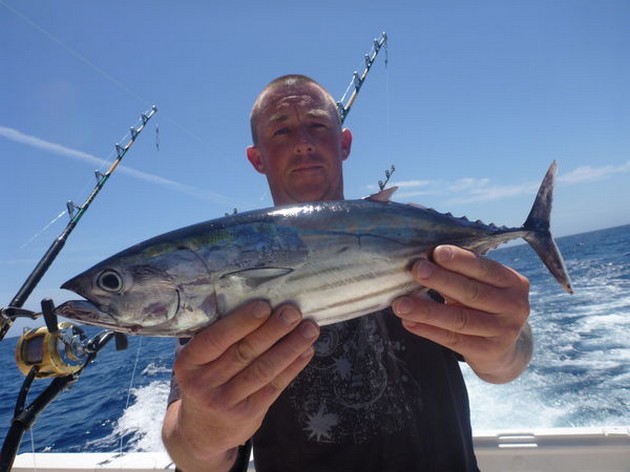 Skipjack Tuna Cavalier & Blue Marlin Sport Fishing Gran Canaria