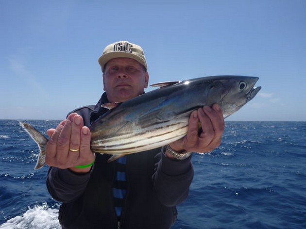 Skipjack Tuna Cavalier & Blue Marlin Sport Fishing Gran Canaria