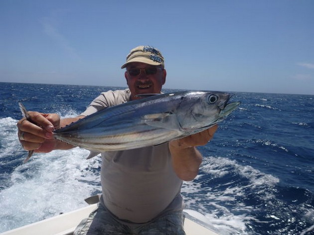 The Bombero Cavalier & Blue Marlin Sport Fishing Gran Canaria