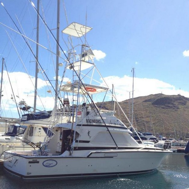 1: a Blue Marlin Cavalier & Blue Marlin Sport Fishing Gran Canaria