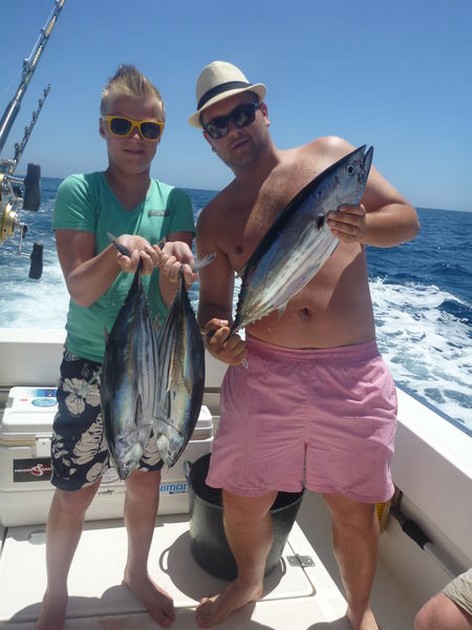 Återigen stora skolor med tusentals Skipjacks Cavalier & Blue Marlin Sport Fishing Gran Canaria