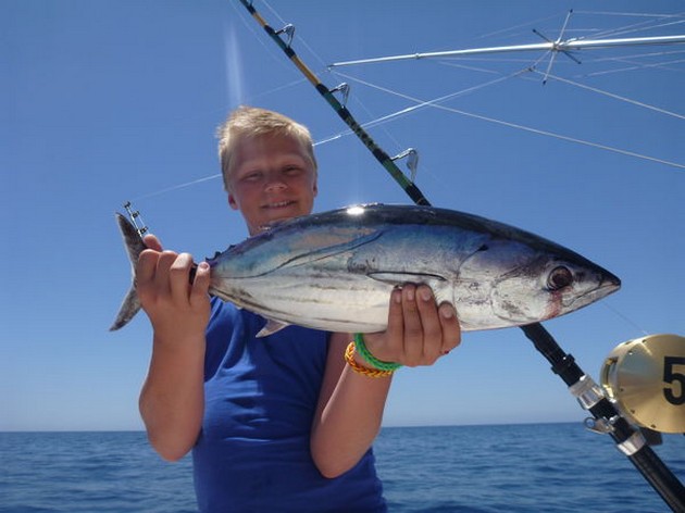 Skipjack Tuna Cavalier & Blue Marlin Sport Fishing Gran Canaria