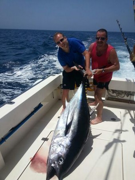 Triple hook-up Big Eye Tuna on the Cavalier Cavalier & Blue Marlin Sport Fishing Gran Canaria