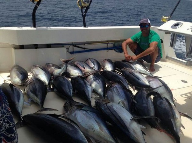 Charterbåtar på Gran Canaria fångade hundratals Albacore-tonfiskar Cavalier & Blue Marlin Sport Fishing Gran Canaria
