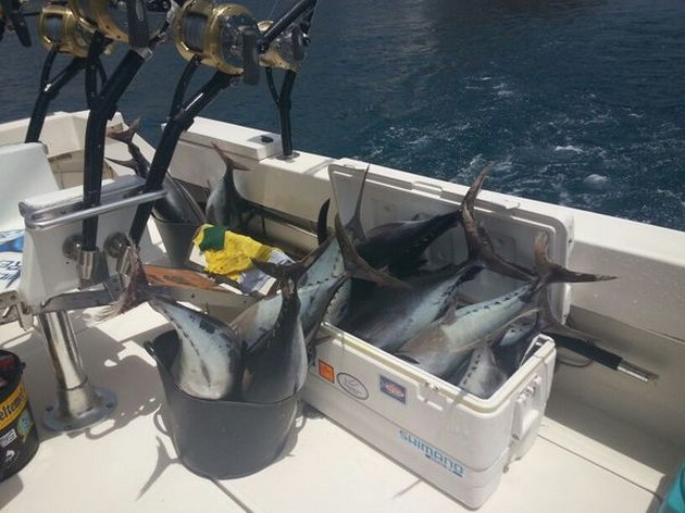 Great Catch Cavalier & Blue Marlin Sport Fishing Gran Canaria