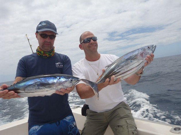 White Marlin and some Skipjack Tuna Cavalier & Blue Marlin Sport Fishing Gran Canaria
