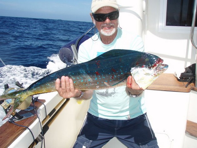 Massor av aktiviteter från White and Blue Marlin Cavalier & Blue Marlin Sport Fishing Gran Canaria