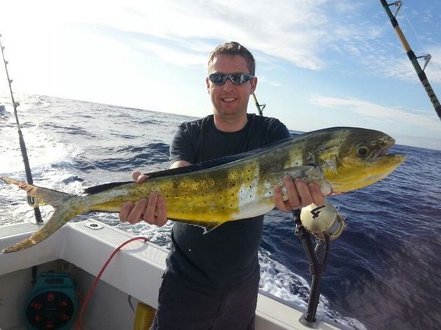 Dorado caught by Nick Allen from the United Kingdom Cavalier & Blue Marlin Sport Fishing Gran Canaria