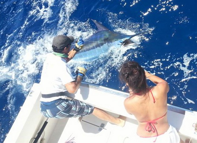 450 lbs Blue Marlin - Jude Crawford from Alabama released this marlin on the boat Cavalier Cavalier & Blue Marlin Sport Fishing Gran Canaria