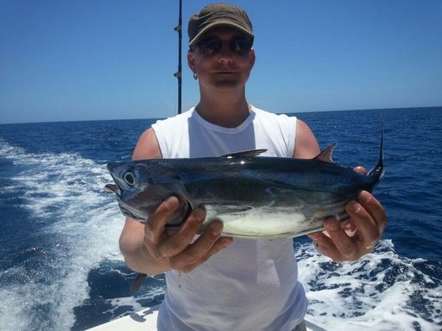 Skipjack Tuna Cavalier & Blue Marlin Sport Fishing Gran Canaria