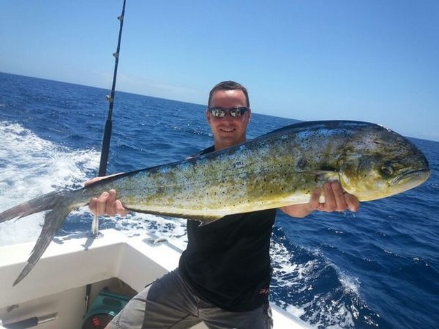 Dorado - Nice Dorado caught by Barry from the United Kingdom Cavalier & Blue Marlin Sport Fishing Gran Canaria