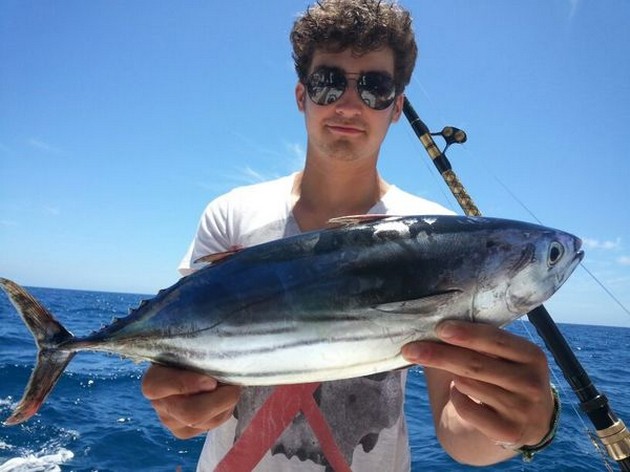 Skipjack Tuna Cavalier & Blue Marlin Sport Fishing Gran Canaria