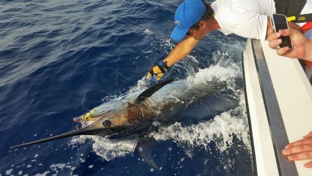 Release Me - Please release me ...! Cavalier & Blue Marlin Sport Fishing Gran Canaria