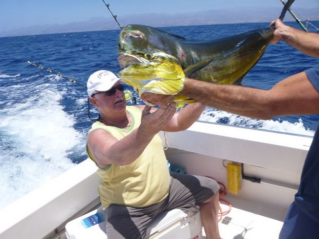 Dorado - Werner Völler from Germany Cavalier & Blue Marlin Sport Fishing Gran Canaria