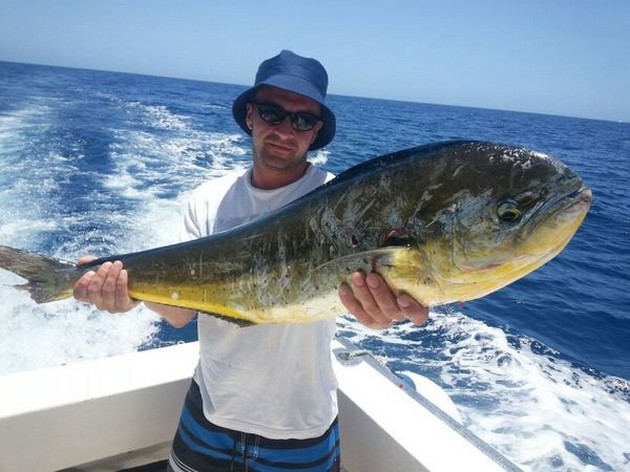 Dorado - Steven Tidey onboard of the boat Cavalier Cavalier & Blue Marlin Sport Fishing Gran Canaria