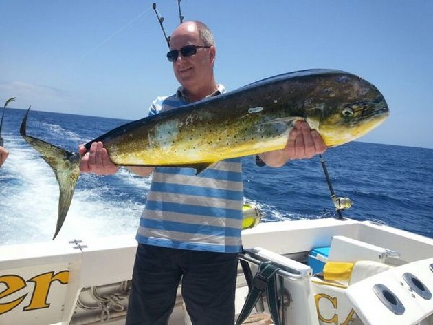Dorado Cavalier & Blue Marlin Sport Fishing Gran Canaria