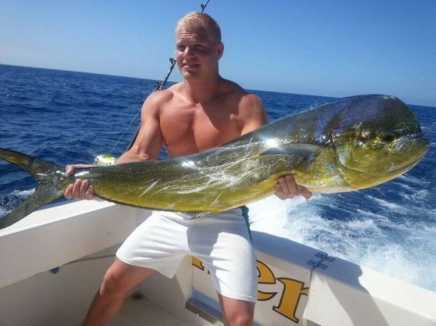 Dorado - Tim Mostrom caught this Dorado onboard of the Cavalier Cavalier & Blue Marlin Sport Fishing Gran Canaria