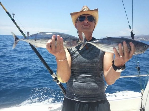 Skipjack Tuna Cavalier & Blue Marlin Sport Fishing Gran Canaria