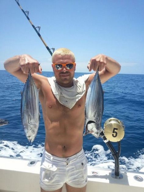 Skipjack Tuna Cavalier & Blue Marlin Sport Fishing Gran Canaria