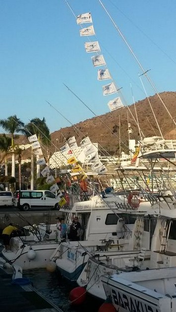Fiësta ! - Good results for most charter boats Cavalier & Blue Marlin Sport Fishing Gran Canaria