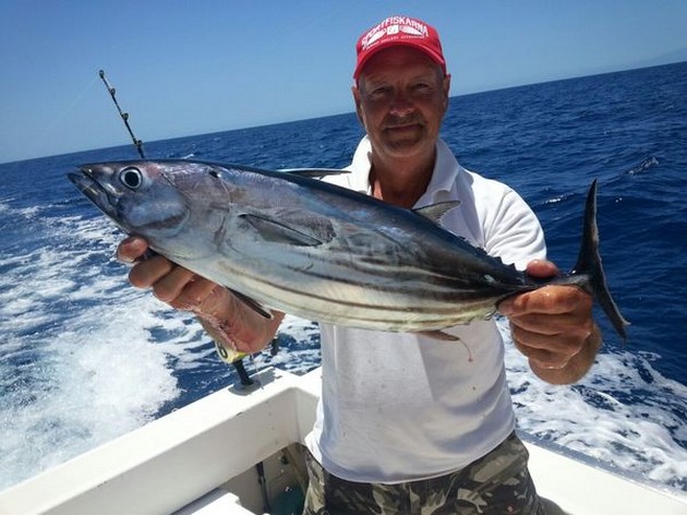 Skipjack Tuna Cavalier & Blue Marlin Sport Fishing Gran Canaria