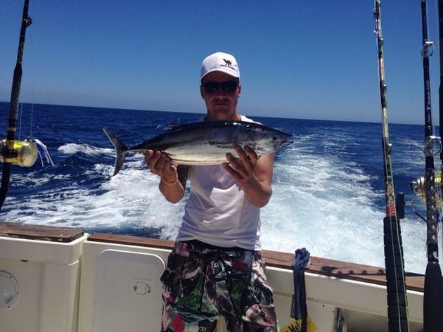 Skipjack Tuna Cavalier & Blue Marlin Sport Fishing Gran Canaria