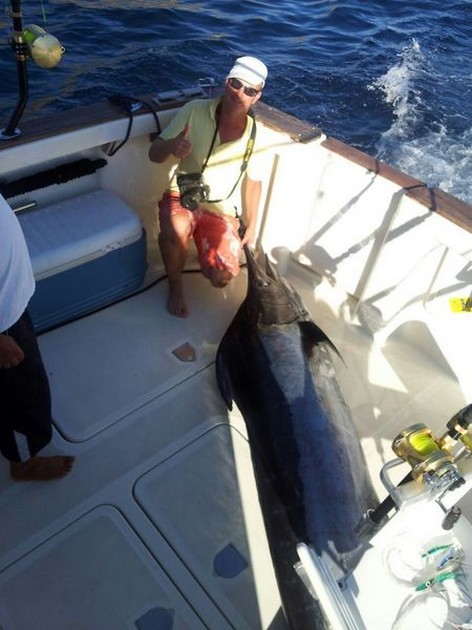 Blue Marlin - This Blue Marlin died unfortunately behind the deck Cavalier & Blue Marlin Sport Fishing Gran Canaria