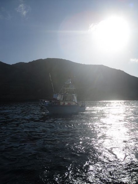 Zou het dan toch......................??? Cavalier & Blue Marlin Sport Fishing Gran Canaria