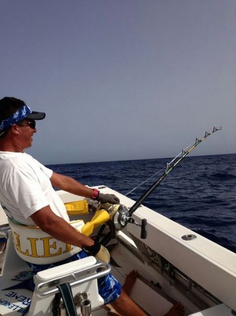 Hooked Up - Hafid from the boat Cavalier fighting a Big Eye Tuna Cavalier & Blue Marlin Sport Fishing Gran Canaria