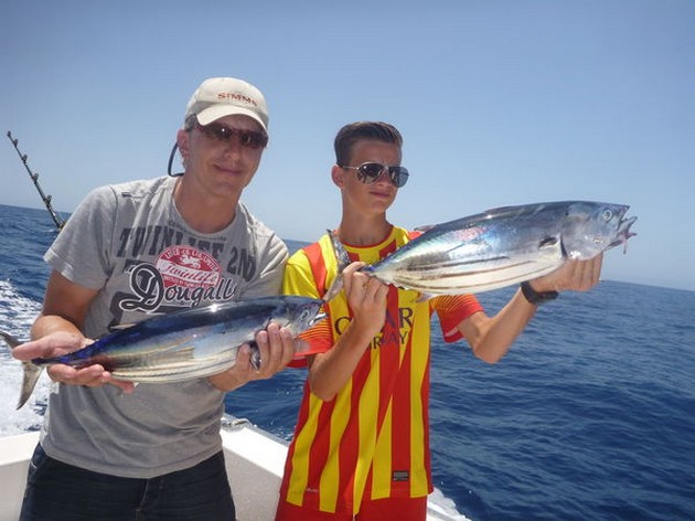 Skipjack Tuna - Skipjacks caught on the boat Cavalier Cavalier & Blue Marlin Sport Fishing Gran Canaria