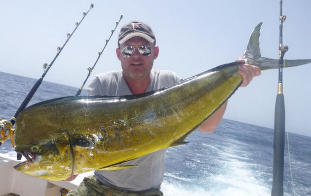38 lbs Dorado caught by Jan Kroon from Holland Cavalier & Blue Marlin Sport Fishing Gran Canaria