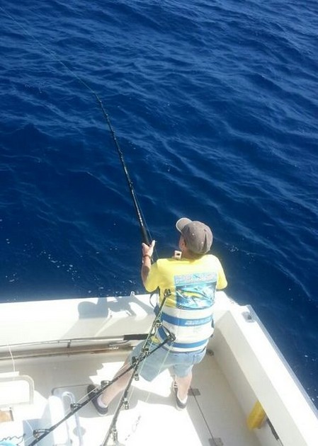 Massor av vita marliner på södra Gran Canaria Cavalier & Blue Marlin Sport Fishing Gran Canaria