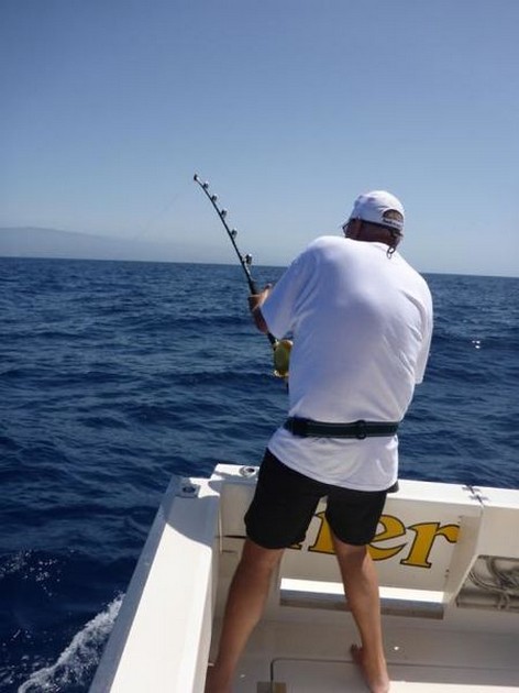 'El Bombero' Cavalier & Blue Marlin Sport Fishing Gran Canaria