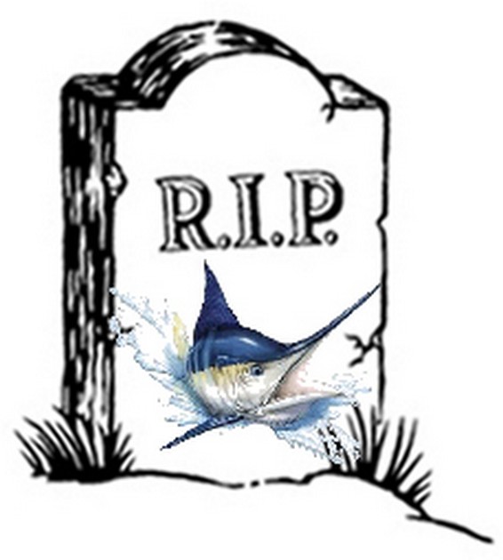 R.I.P Cavalier & Blue Marlin Sport Fishing Gran Canaria