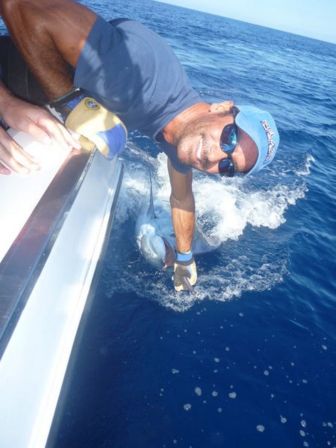 Release Me - Wayne Cooper from Sheffield released a 600 lbs Blue Marlin Cavalier & Blue Marlin Sport Fishing Gran Canaria
