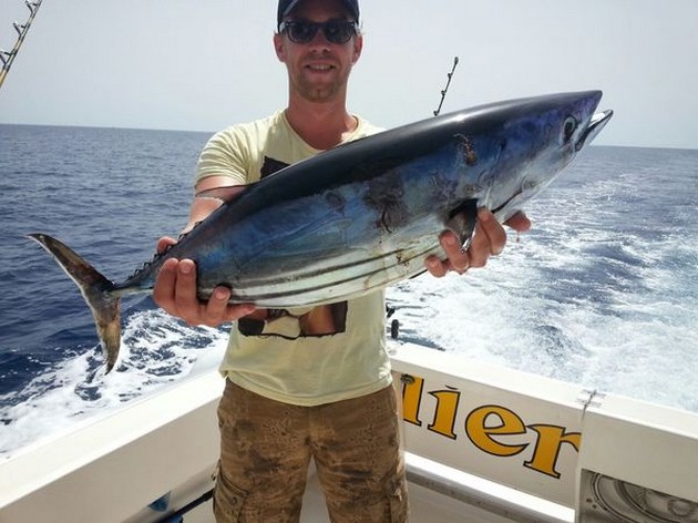 Skipjack Tuna Cavalier & Blue Marlin Sport Fishing Gran Canaria