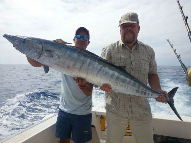 50 lbs Wahoo Cavalier & Blue Marlin Sport Fishing Gran Canaria
