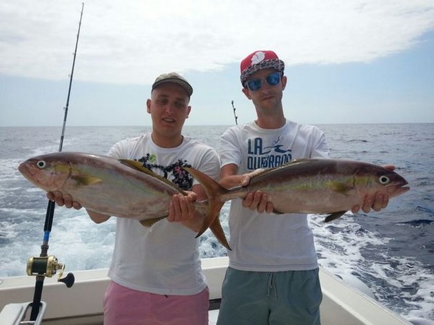 Amberjacks caught by Chris and Patrick van Rossum Cavalier & Blue Marlin Sport Fishing Gran Canaria