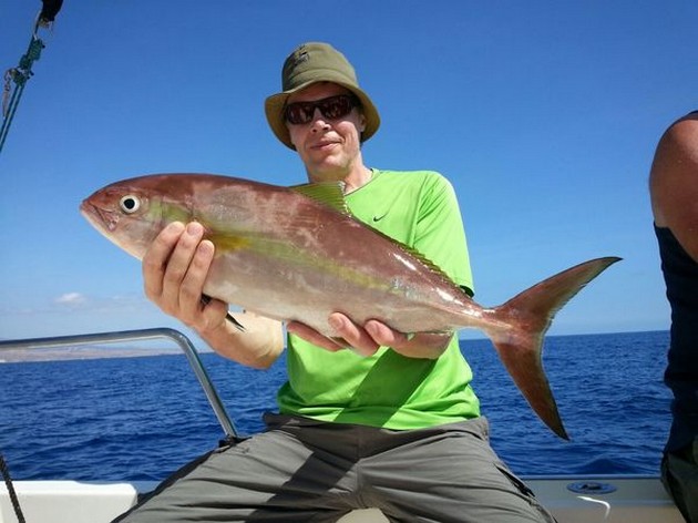 Amberjack - Seppo Tatula from Finland on the Cavalier Cavalier & Blue Marlin Sport Fishing Gran Canaria
