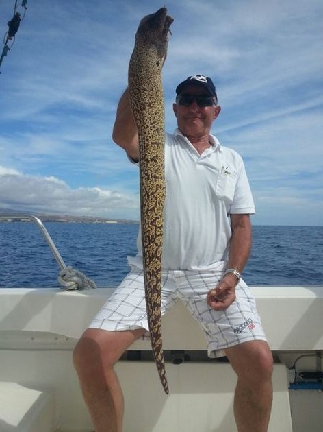 Tiger Moray caught by this Dutch fisherman Cavalier & Blue Marlin Sport Fishing Gran Canaria
