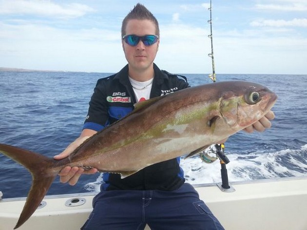 Amberjack - Nice Amberjack caught by Marcus Jansson from Sweden Cavalier & Blue Marlin Sport Fishing Gran Canaria