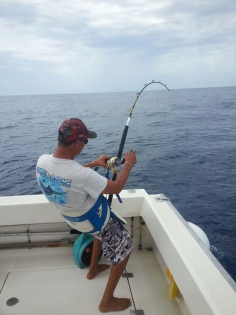 Hooked Up - Hafid 'stand-up' fighting a Blue Marlin on 50lbs Cavalier & Blue Marlin Sport Fishing Gran Canaria