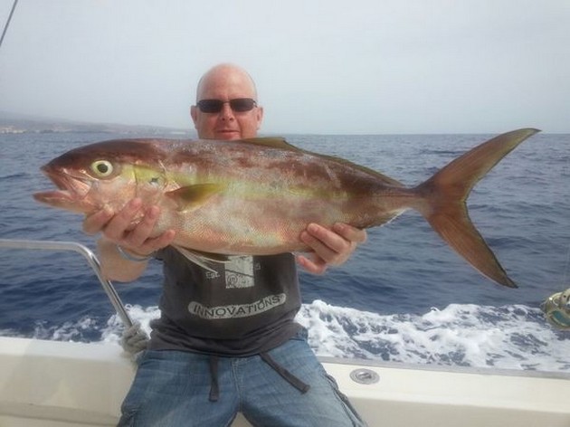 Amberjack caught by Damian Brennan on the Cavalier Cavalier & Blue Marlin Sport Fishing Gran Canaria