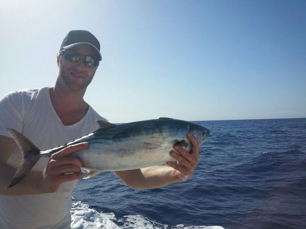 Atlantic Bonito Cavalier & Blue Marlin Sport Fishing Gran Canaria