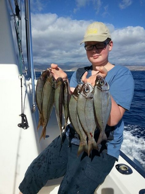 Sea Breams - Lots of nice Sea Breams Cavalier & Blue Marlin Sport Fishing Gran Canaria